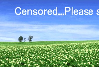 One of my favourite weird FF things: If you use the "Devour" command in battle in FF8 the screen will change into a photo of a serene field with the words "Censored... please stand by" scrolling over the screen, while your character presumably just. eats the enemy