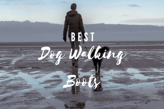 JugDogCo's tweet photo. If your dog loves the outdoors no matter the weather but you dread to think what will happen to your shoes then you need a good pair of dog walking boots.  #Walks https://t.co/ojzGMtiN2a https://t.co/Jk0DU2dPc0