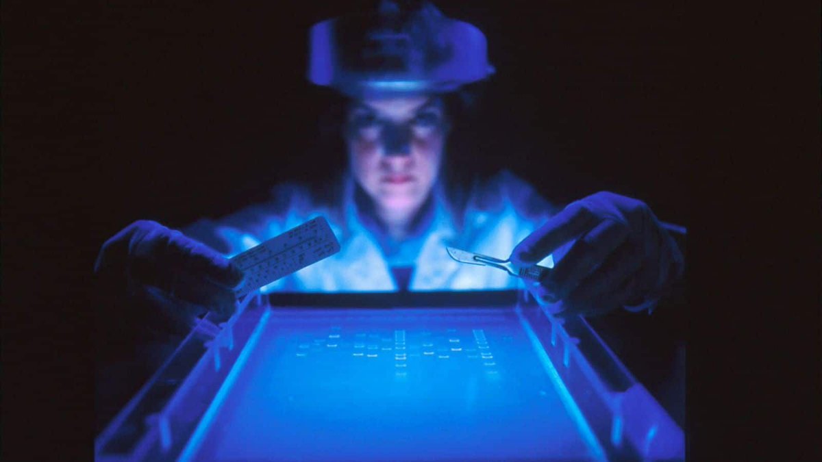 Can far-UVC lighting help combat COVID-19?
knowtechie.com/can-far-uvc-li… via @KaylaEMatthews