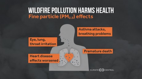 Learn more about the impact of #wildfire smoke on lung health (&amp; risks for respiratory infections) in this <a href="/ClimateCentral/">Climate Central</a> bulletin that cites CPHR research by @erinlandguth et al medialibrary.climatecentral.org/resources/2020…
