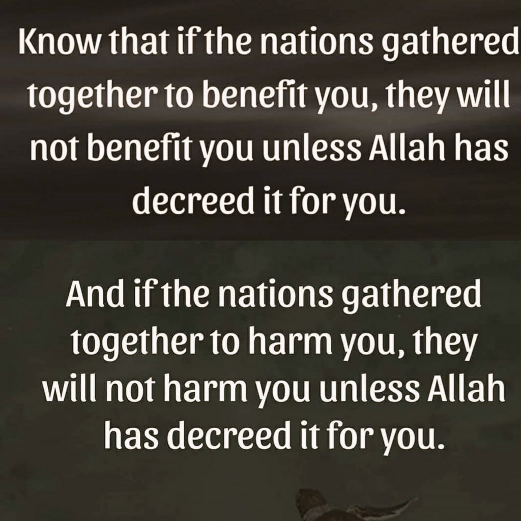 SheikhaAlattas's tweet photo. #Allah #thegreatest #bestplanner https://t.co/xXwxLUiyUR