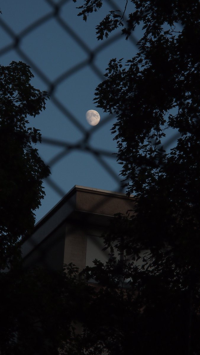 illya_twt's tweet photo. i took pics of the moon again :) because i like it. 🌙

the last one kind of looks like a face looking up. it's fascinating https://t.co/mGggqVdynb