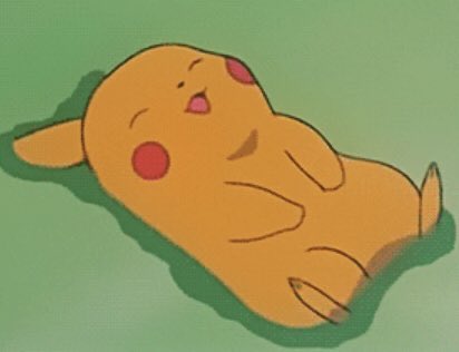 pikachu stole my credit card and called me a bitch tweet media