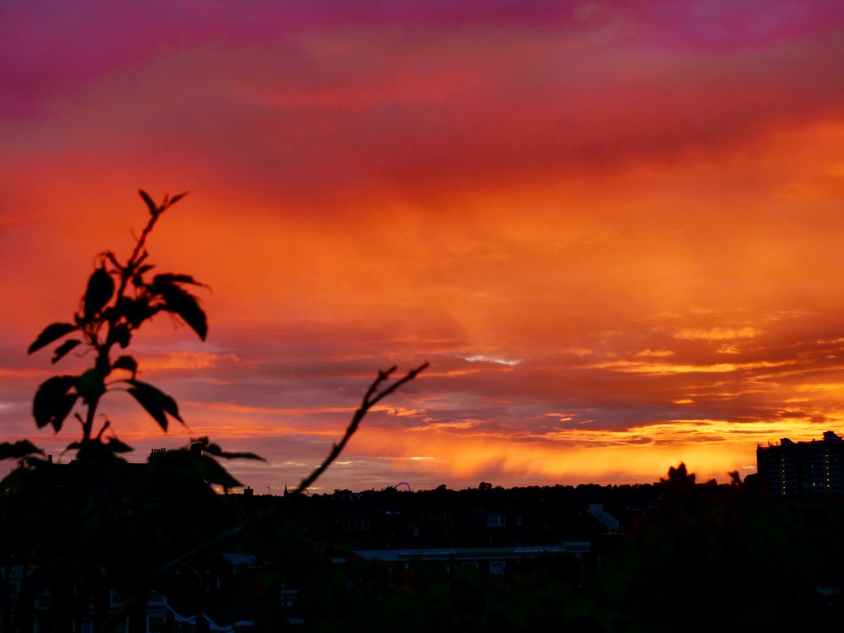 Pretty amazing London #sunset this evening.  #London #maidavale #wembleyarch #bestcityintheworld