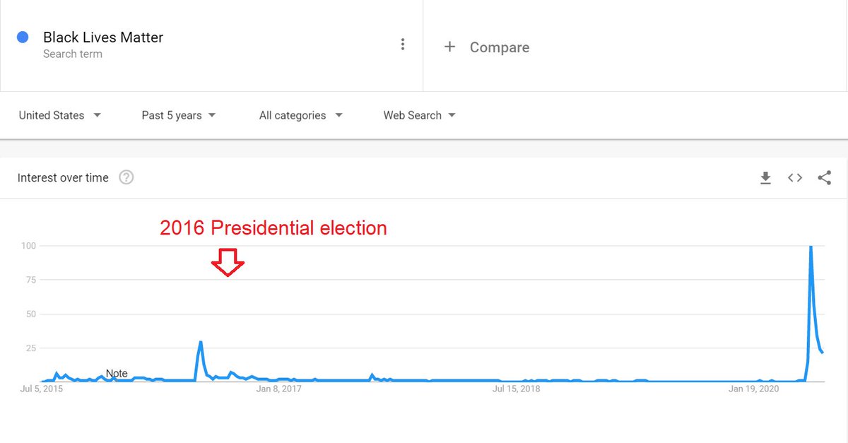 10) The fact that "Black Lives Matter" as a search term is only relevant to the culture immediately before a presidential election suggests it is a political tool, rather than an organic movement.  https://trends.google.com/trends/explore?date=today%205-y&geo=US&q=Black%20Lives%20Matter