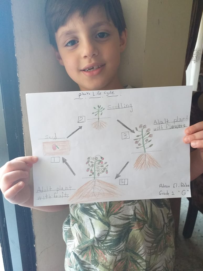 mab0045's tweet photo. The plants life cycle🏝🏞🏜
Adnan albaba
G1 g
@ReemHabli1 
@m_rorita10 
@MakAishaSchool https://t.co/tDWgPVMaeX