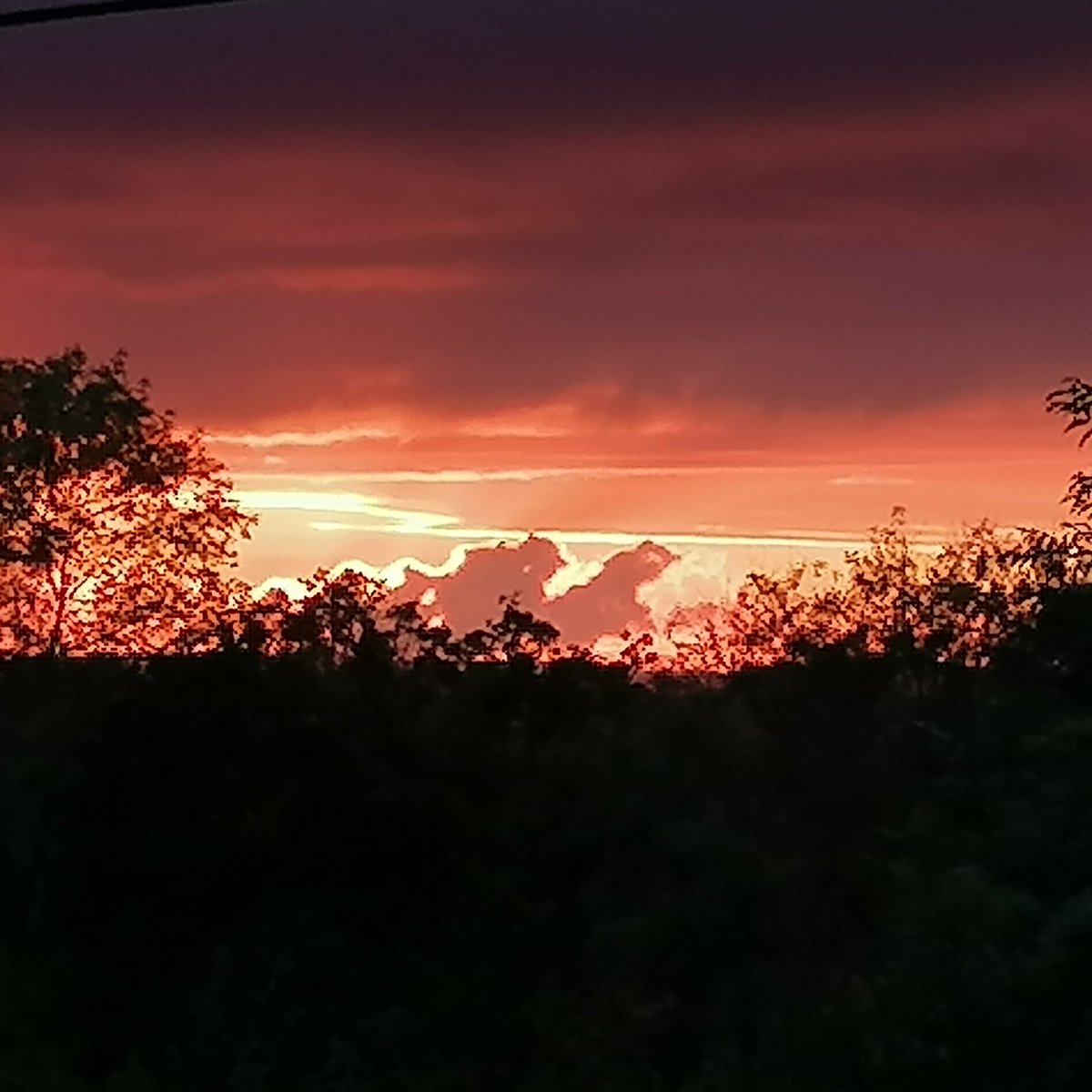 clvonasmith's tweet photo. Tonight's sunset in Upper Swanmore is just breathtaking #hampshire @sdnpa @GreenHampshire @VisitHampshire @HampshireLife #meonValley https://t.co/Cm9mgCb2hE