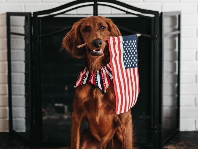 CH_INS_AGENCY's tweet image. So what's your plan for this holiday weekend? At a distance or up close and personal?

CH walks you through some at-a-distance party ideas to share the holiday FUN! And yes, it includes 'golf' :) 

chinsurance.cc/post/at-a-dist…

#fourthfun #chinsurance #inyourcorneronthefourth