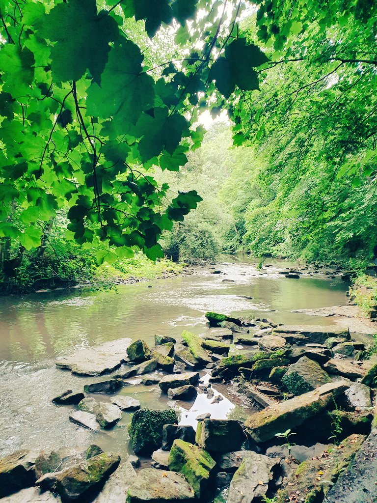 Natalie Bryce tweet media