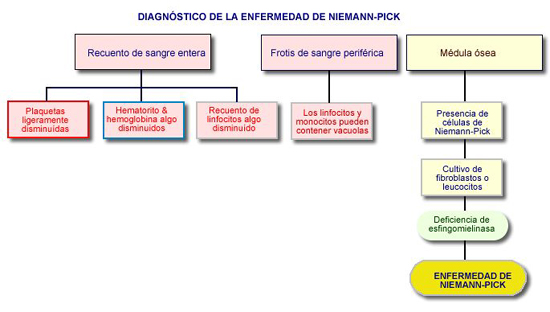 Enfermedad de Niemann-Pick