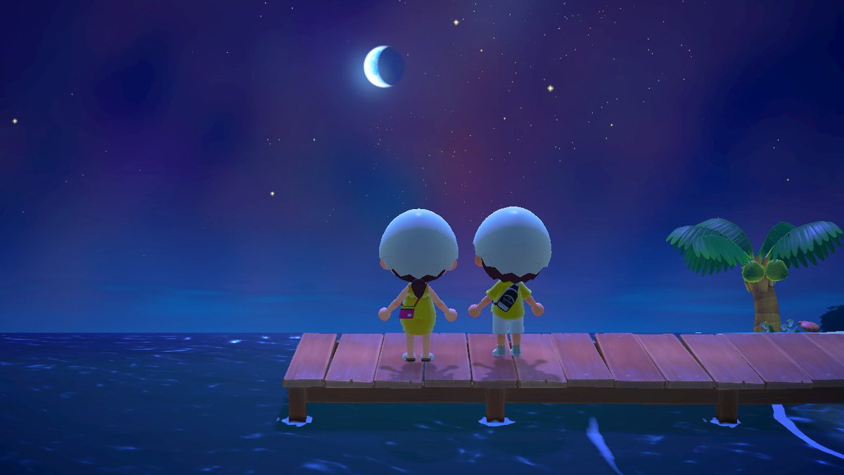 ac_pichipao's tweet photo. Under a starry sky with my shooting star egg :o @joshdoitt #AnimalCrossing #ACNH #NintendoSwitch https://t.co/NShsS15GJy