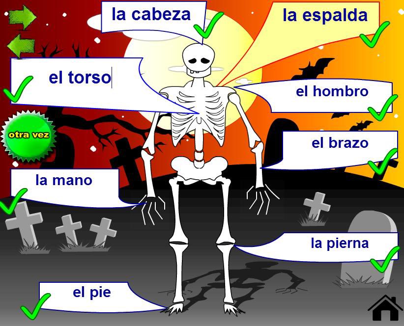 THE BODY PARTS IN SPANISH - (pc + laptop)
bit.ly/2VBQ8jQ