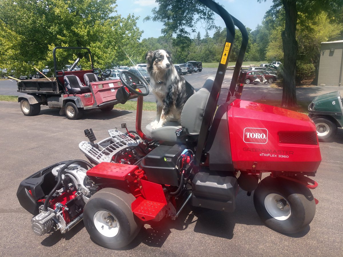 BetterOffRed15's tweet photo. So quiet you can hear the members compliments! #Toro #GR3360 #Blueapproved https://t.co/6bFdHbl8Cn