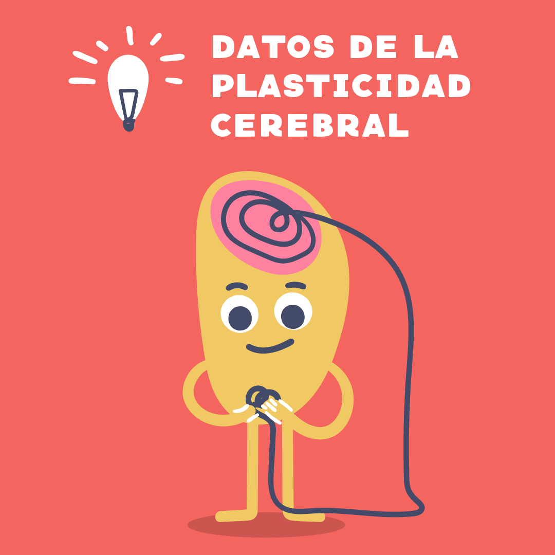 neurokratica's tweet photo. "La plasticidad cerebral va a depender de la estimulación ambiental y de las experiencias a las que esté sometido el cerebro".  Ortiz (2009).

Si quieres conocer otros datos acerca de la neuroplasticidad, visita nuestra cuenta en instagram @neurokratica 
#neuroeducacion
#cerebro https://t.co/mleWjSgF2W