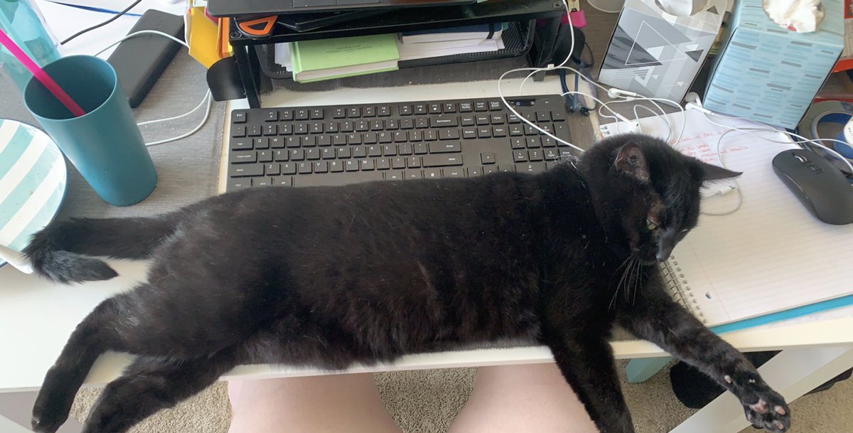 Amy 🐋 tweet media