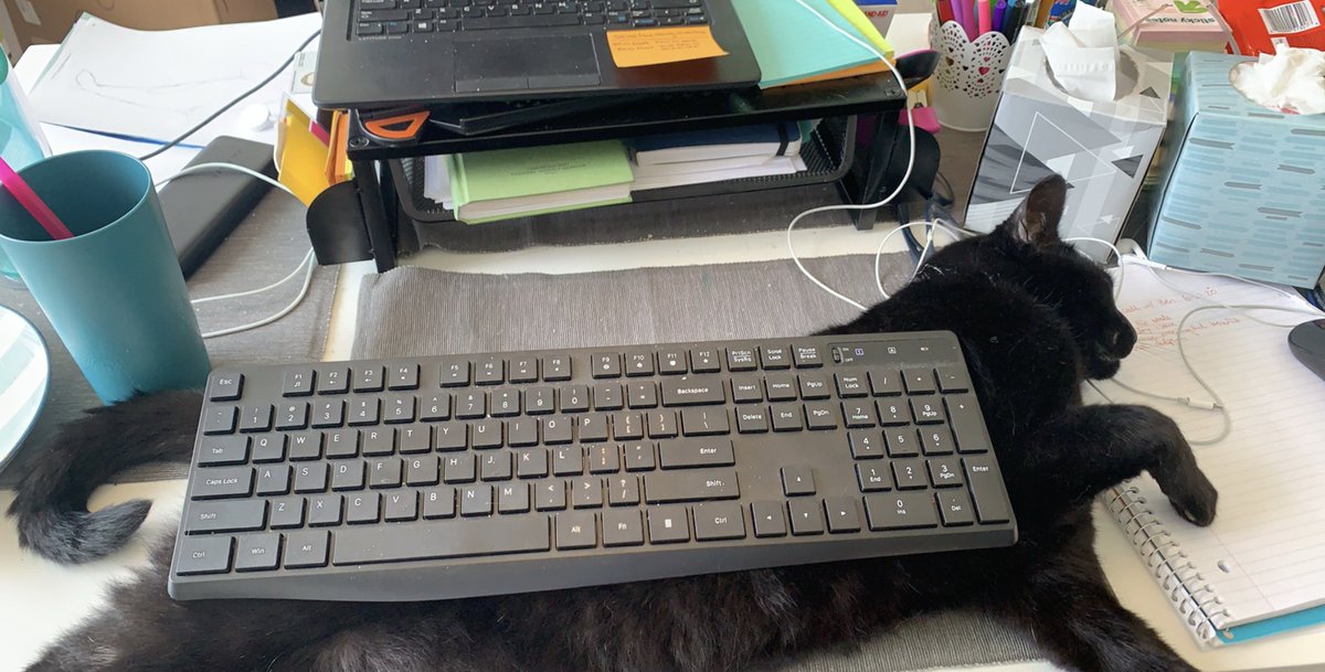 Amy 🐋 tweet media