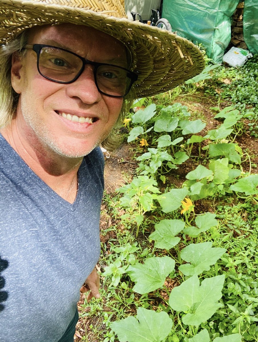 mullinsshawn's tweet photo. My Pumpkin plants are getting out of control! 
We should be all set for Halloween though!
🤣👍🧟‍♂️ https://t.co/xfQWupHui7