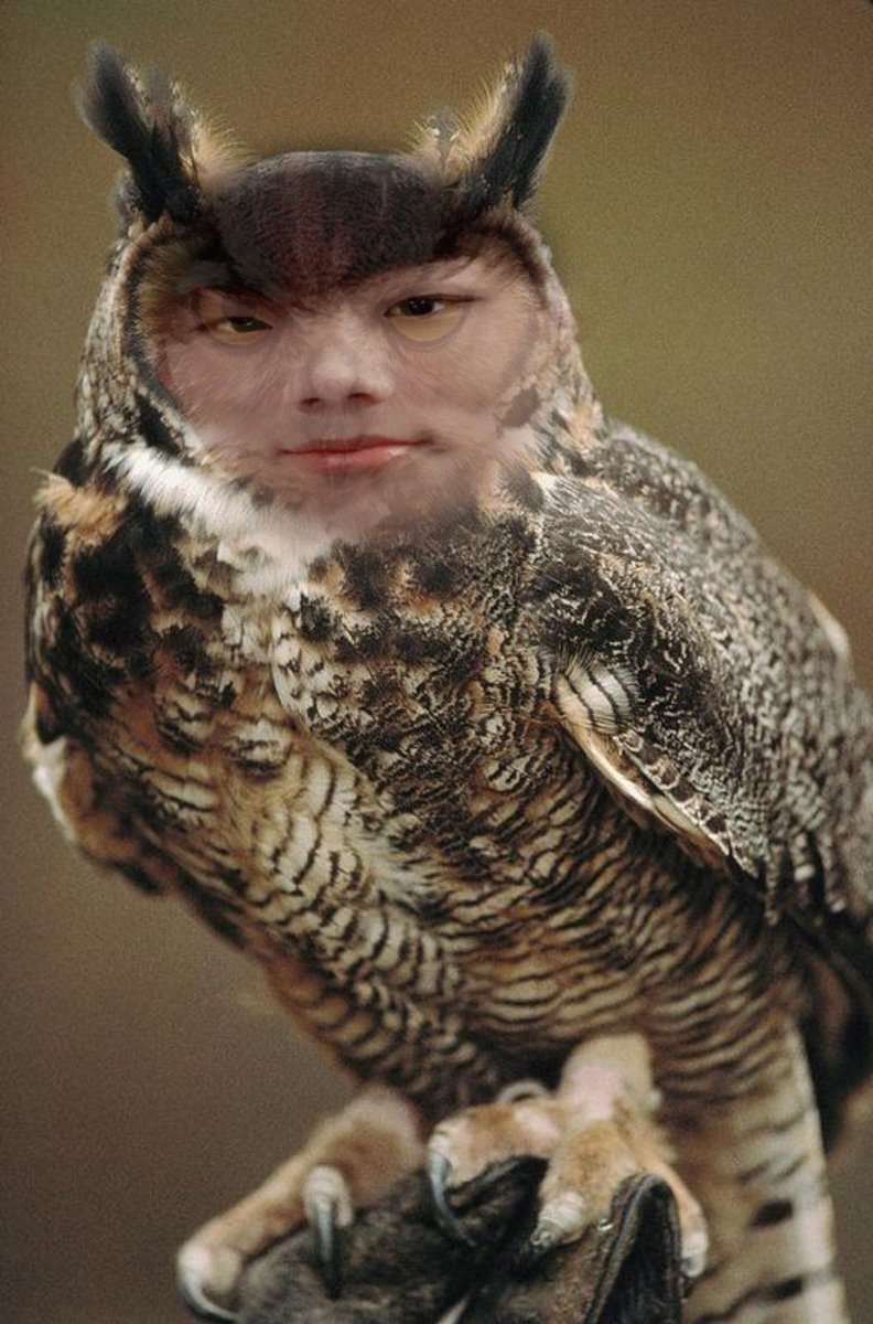 junseowl