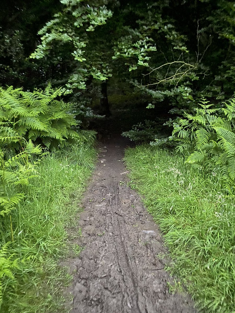 Why do I run? As someone who hated PE at school, the thought of running for any sort of enjoyment was very alien to me. When I first started teaching, the kids would ‘run-a-mile’. I couldn’t run with them because I couldn’t manage a lap of the field. 1/6