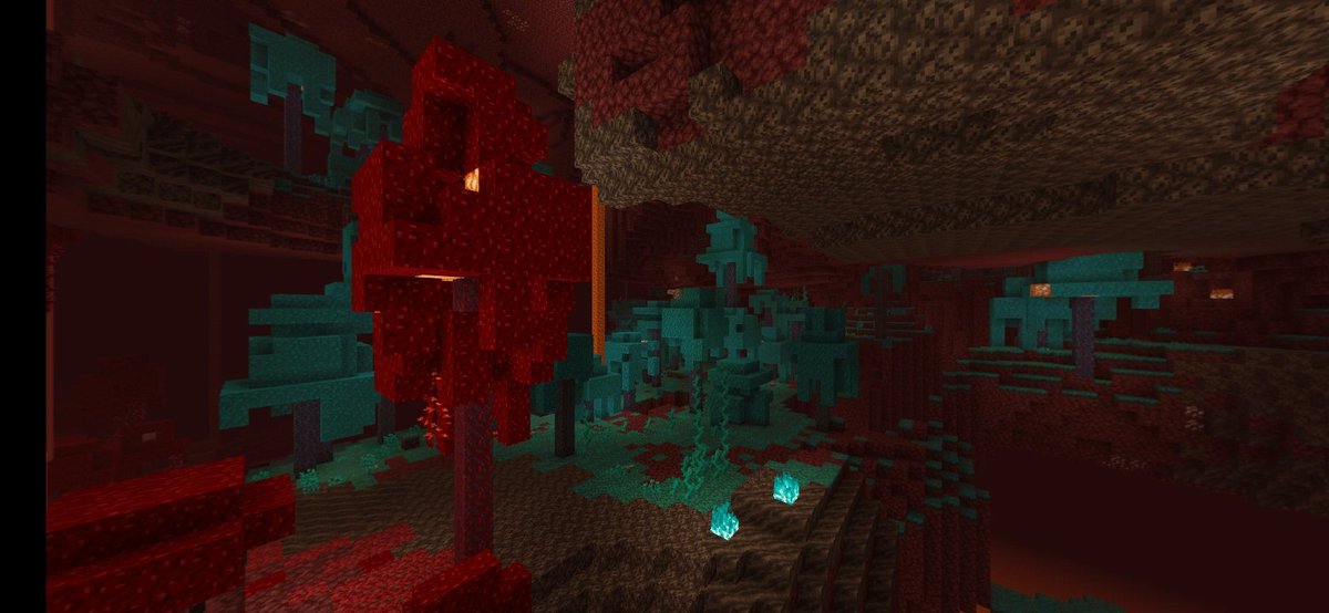 SigiloY's tweet image. Como soluciono este bug de la 1.16 alguna respuesta al md plis