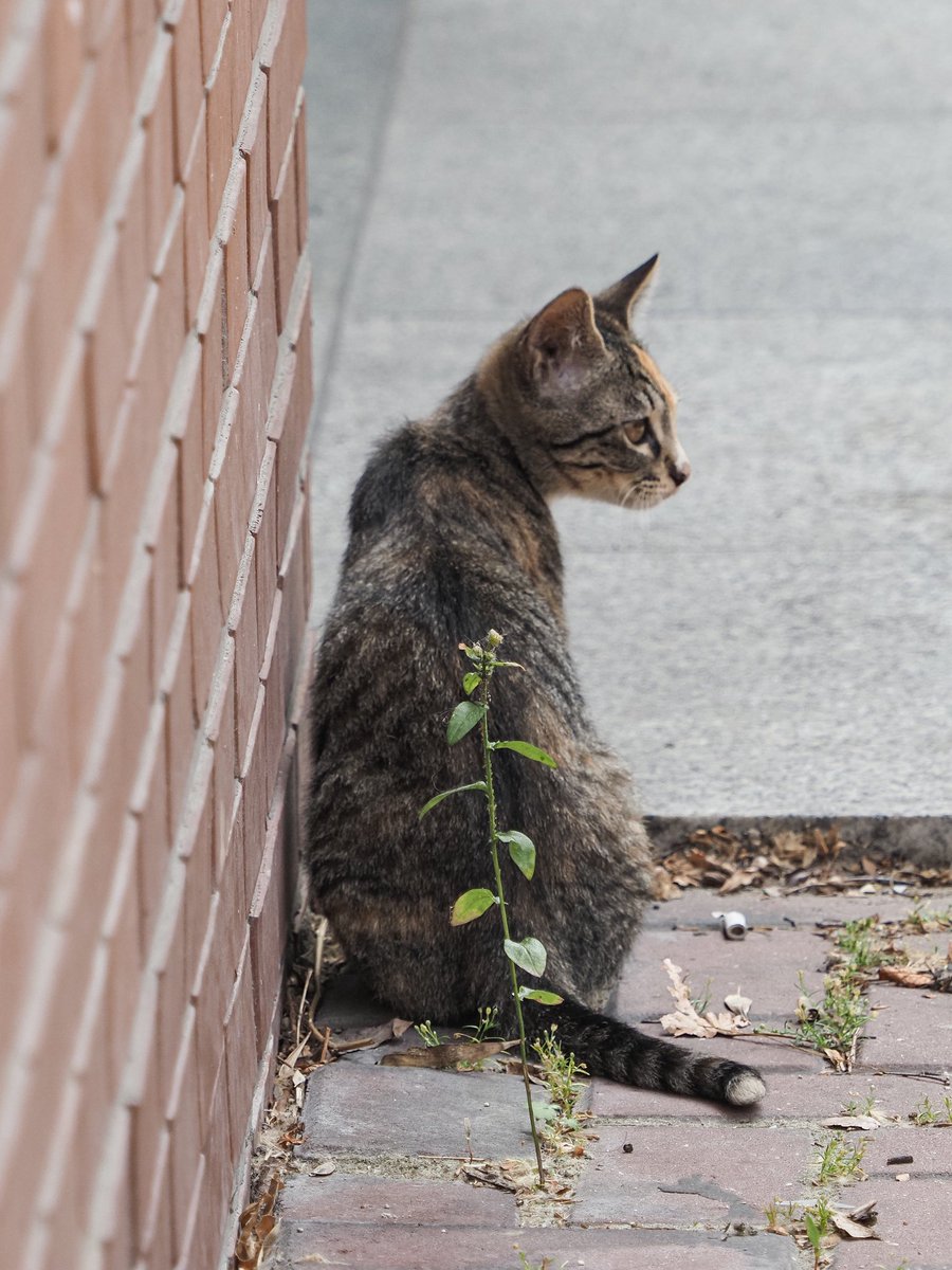 당신이 나를 스쳐보던 그 시선
그 시선이 멈추었던 그 순간
거기 나 영원히 있고 싶어 

김혜순, 당신의 눈물