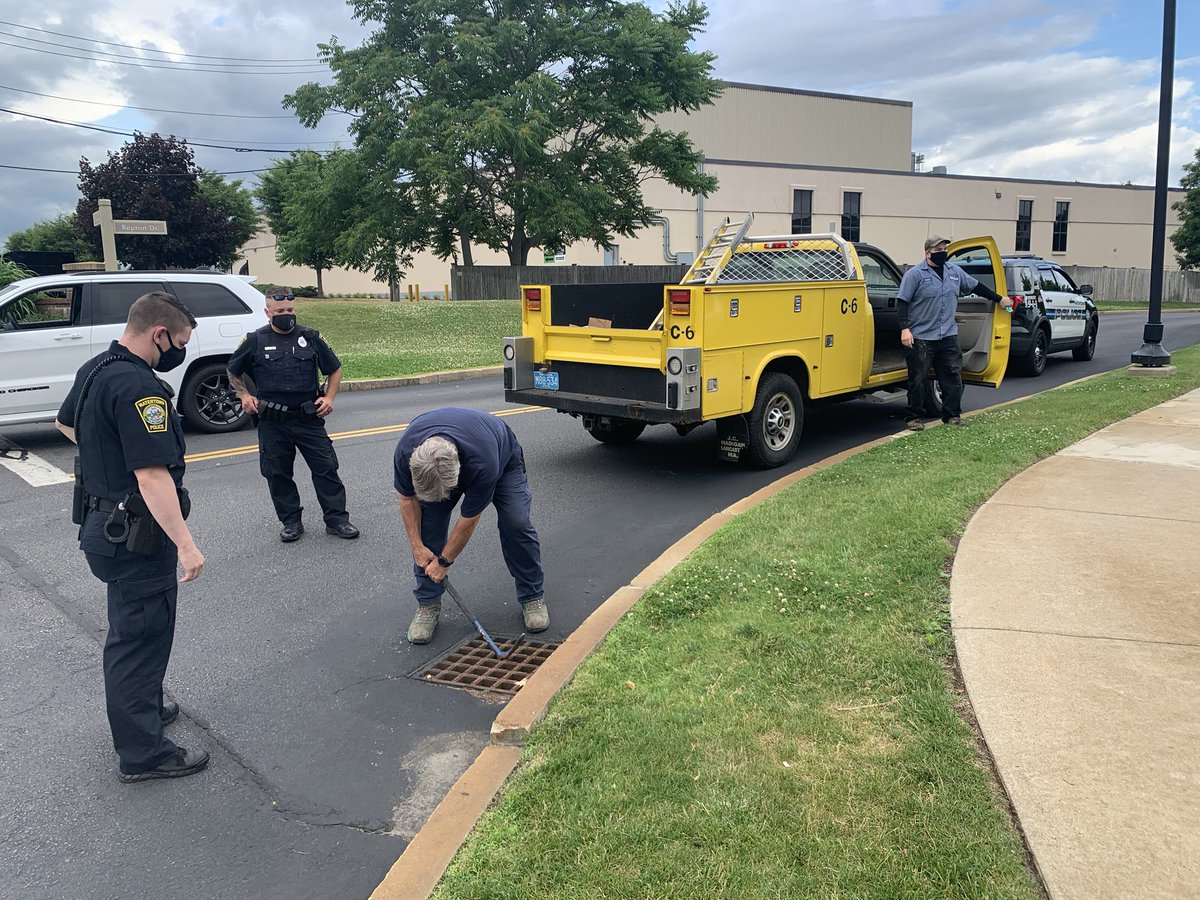 andrewblum's tweet image. Shout out to @WatertownPD and @WatertownDPW for coming to the rescue of 7 ducklings who fell into a drain! @wbz @LisaWBZ