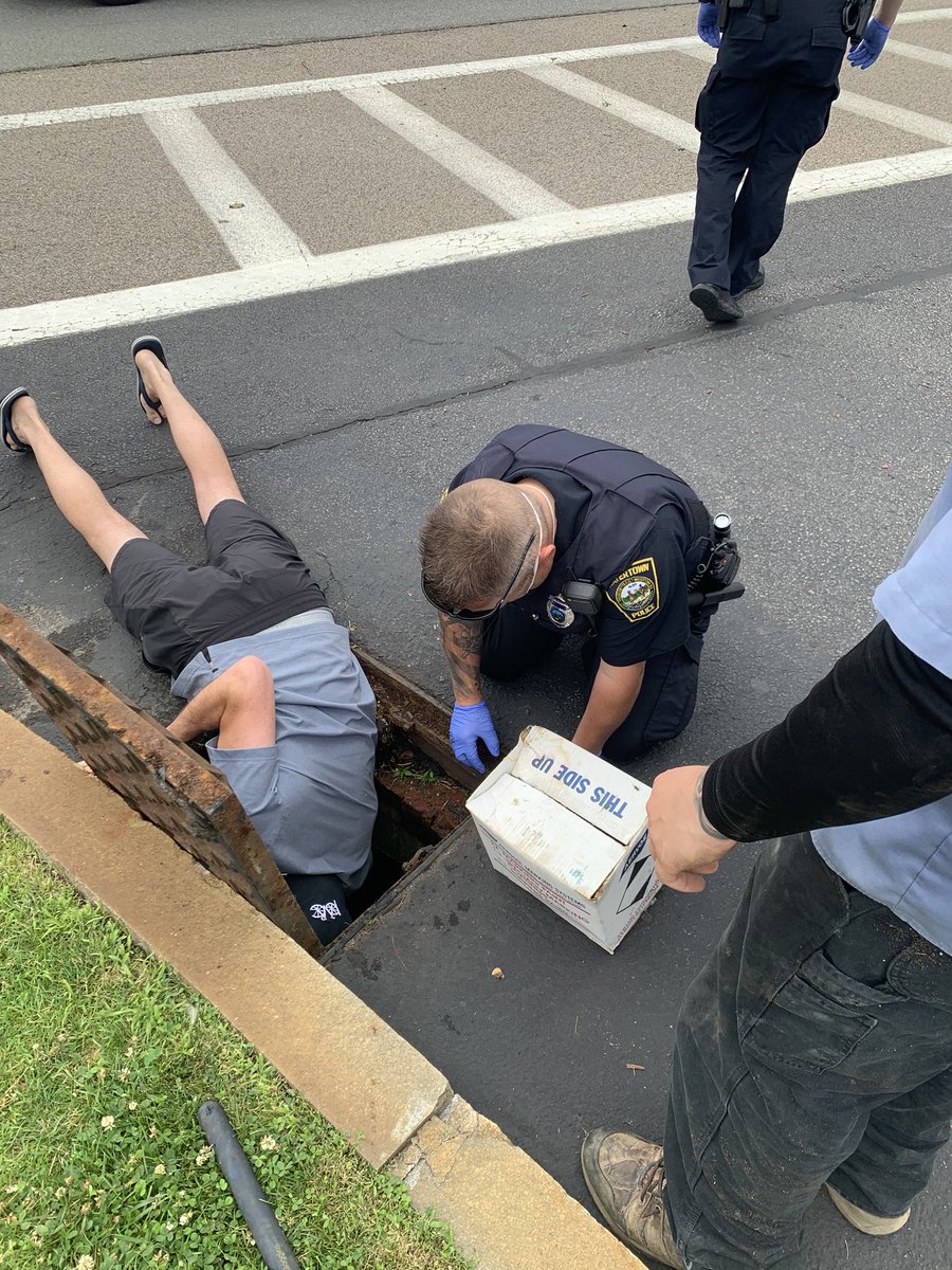 andrewblum's tweet image. Shout out to @WatertownPD and @WatertownDPW for coming to the rescue of 7 ducklings who fell into a drain! @wbz @LisaWBZ