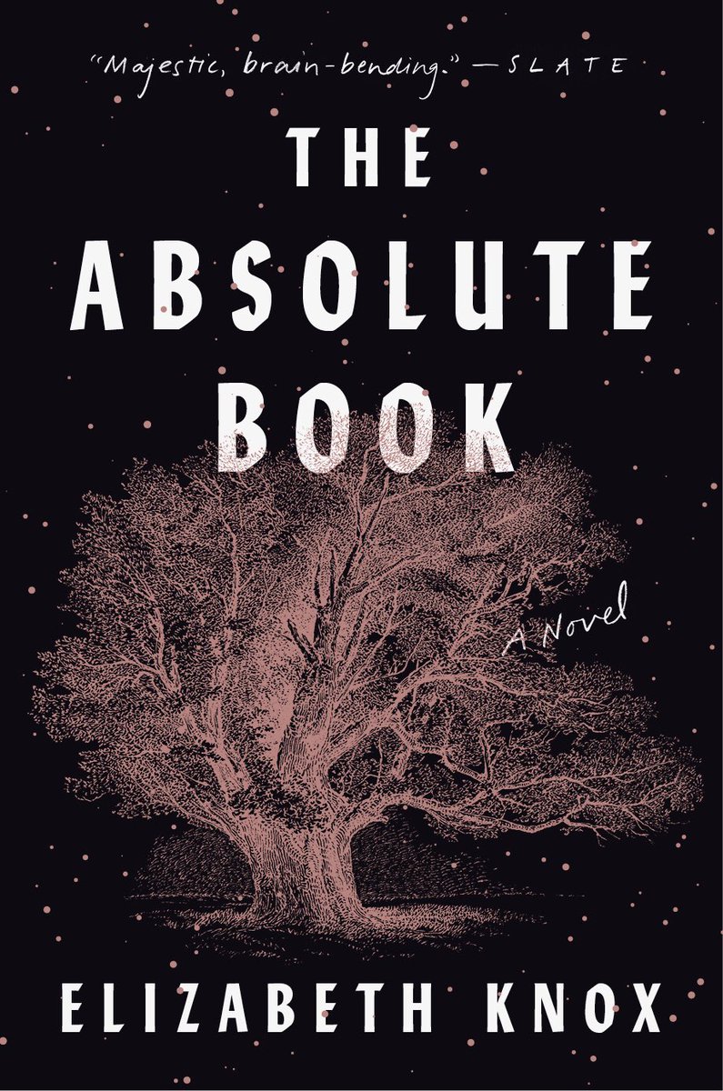 Anyone thinking of a weekend in the Wairarapa I have this event, talking to Noelle McCarthy about The Absolute Book. Log fire! Wine! Noice! It starts at 6:00pm in The Adam Room at Longwood Country Estate, 78 Longwood East Road, Featherston. 
And here’s my prey US cover again 😊
