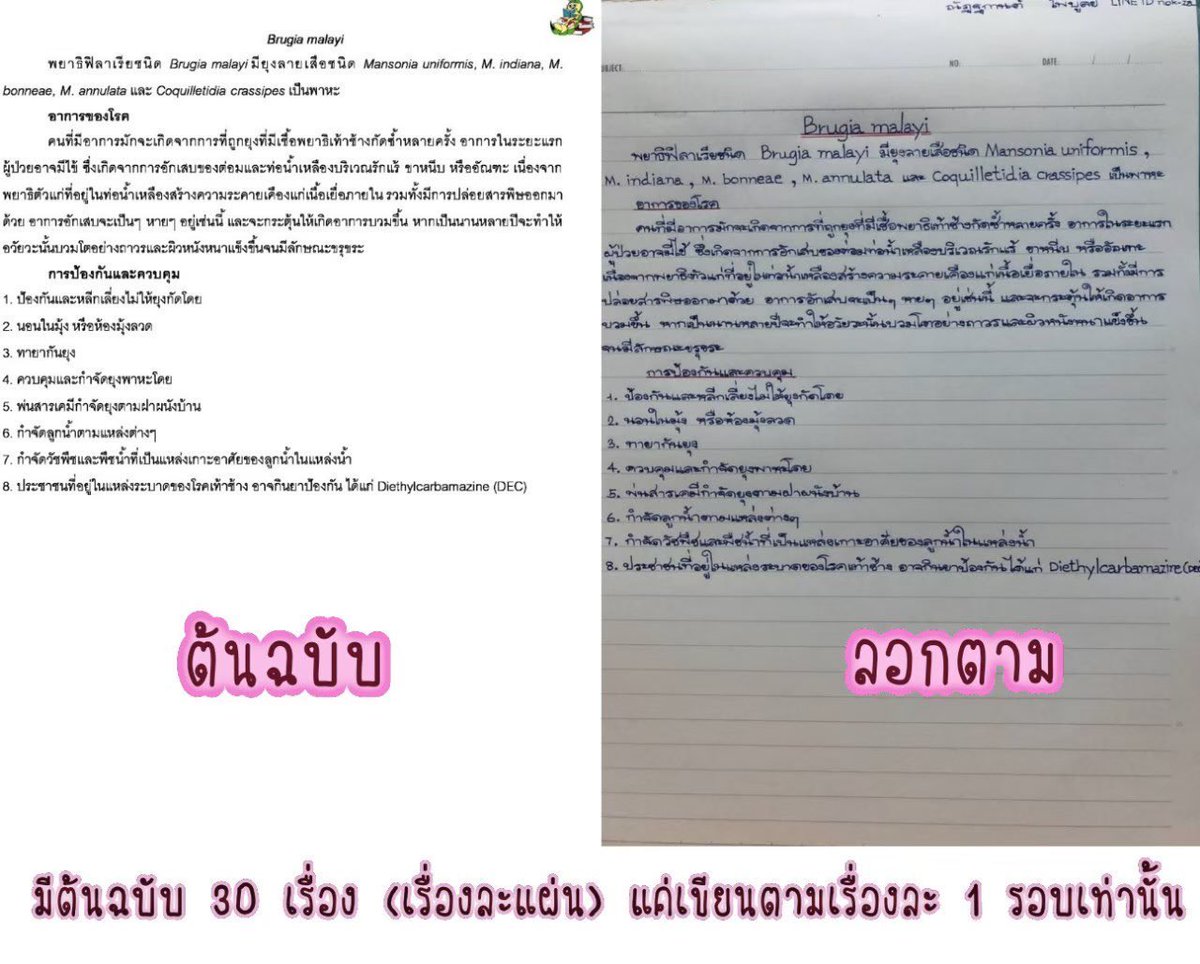 🌷✨ tweet media