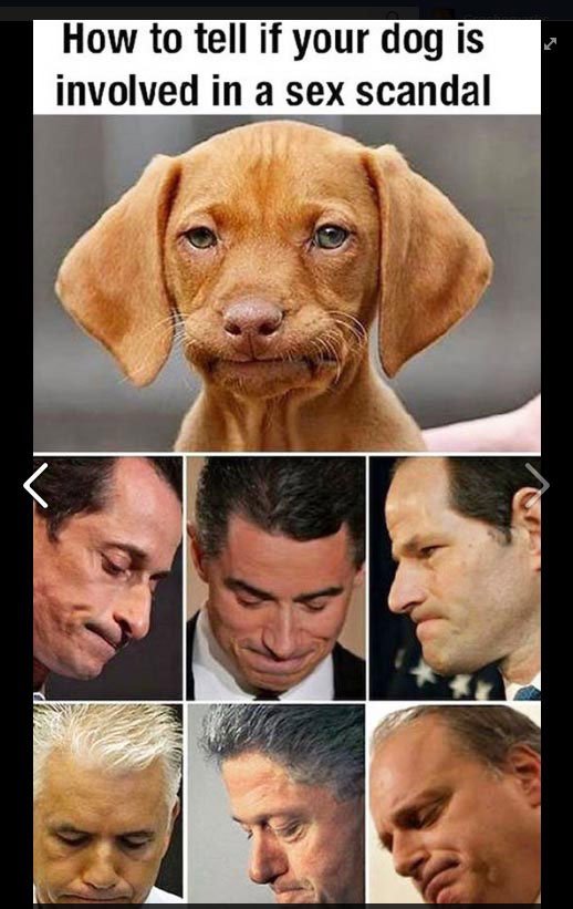 I get to be alive during an evolutionary change in the human species.Yes, it's THAT profound.Is THIS going to stop that change?