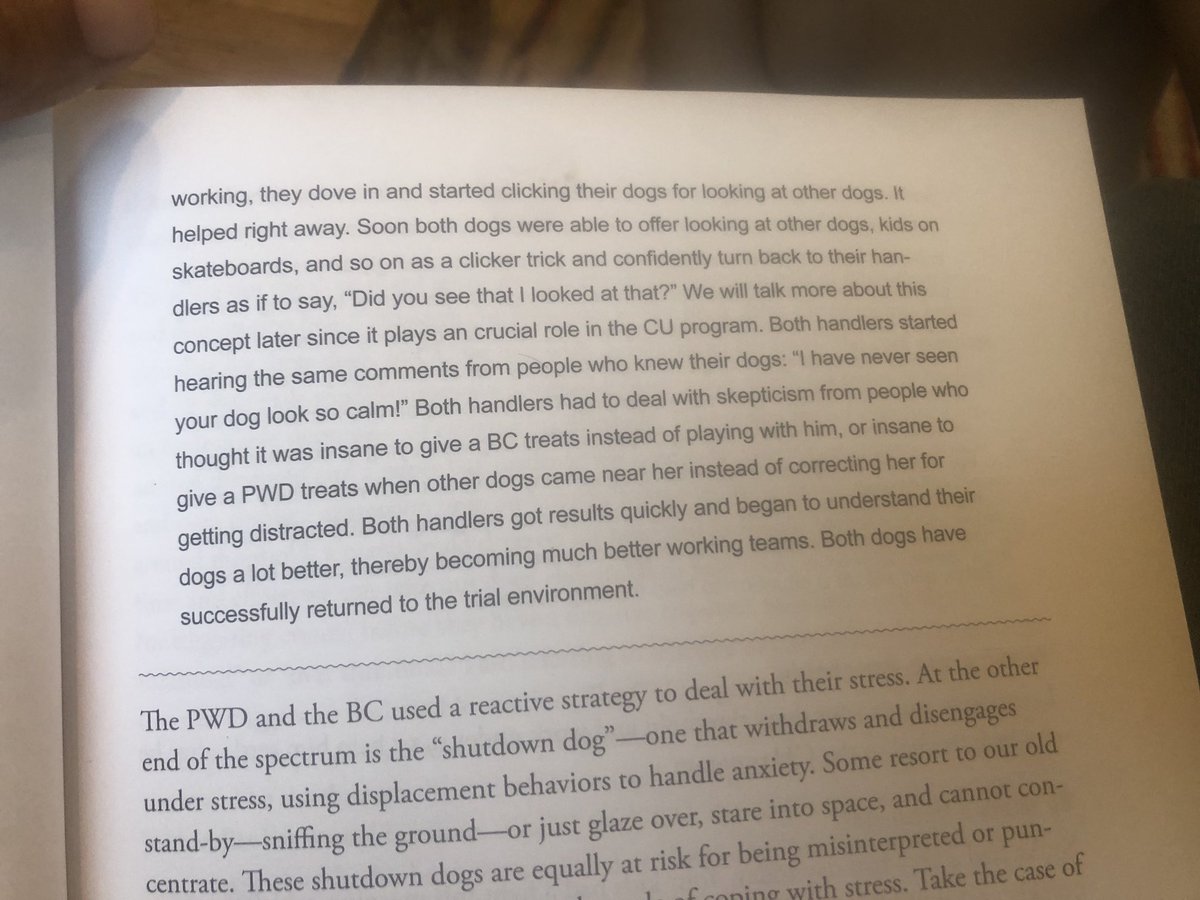 Rewarding the dog for doing the exact thing the owner usually starts out not wanting the dog to do, looking at the environment, is the cornerstone of the Control Unleashed approach.