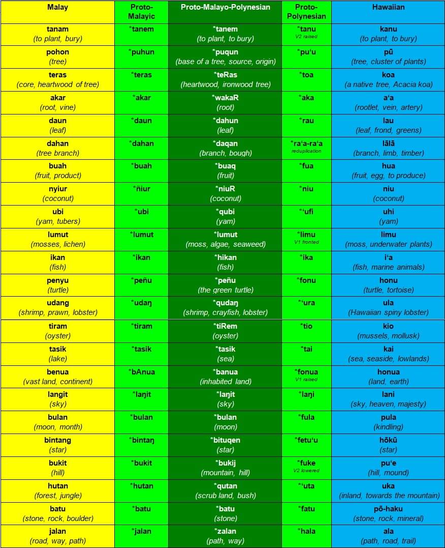 K4hur1ph1rup4n's tweet image. I bet most Americans don&apos;t know that Malay and Hawaiian are both close cousins in the #Austronesian family