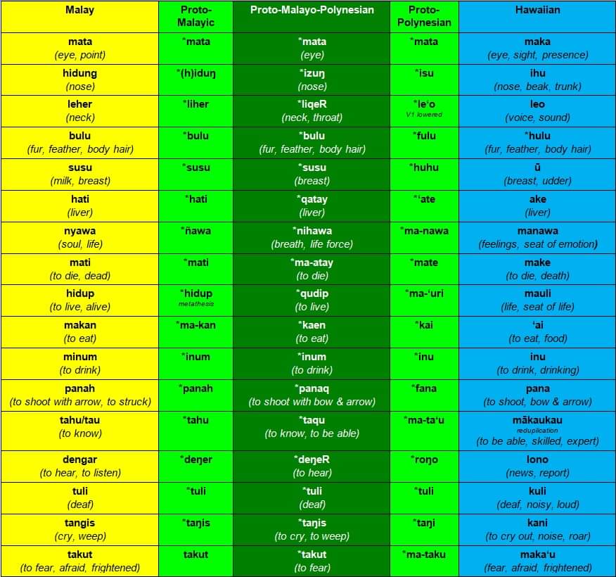 K4hur1ph1rup4n's tweet image. I bet most Americans don&apos;t know that Malay and Hawaiian are both close cousins in the #Austronesian family