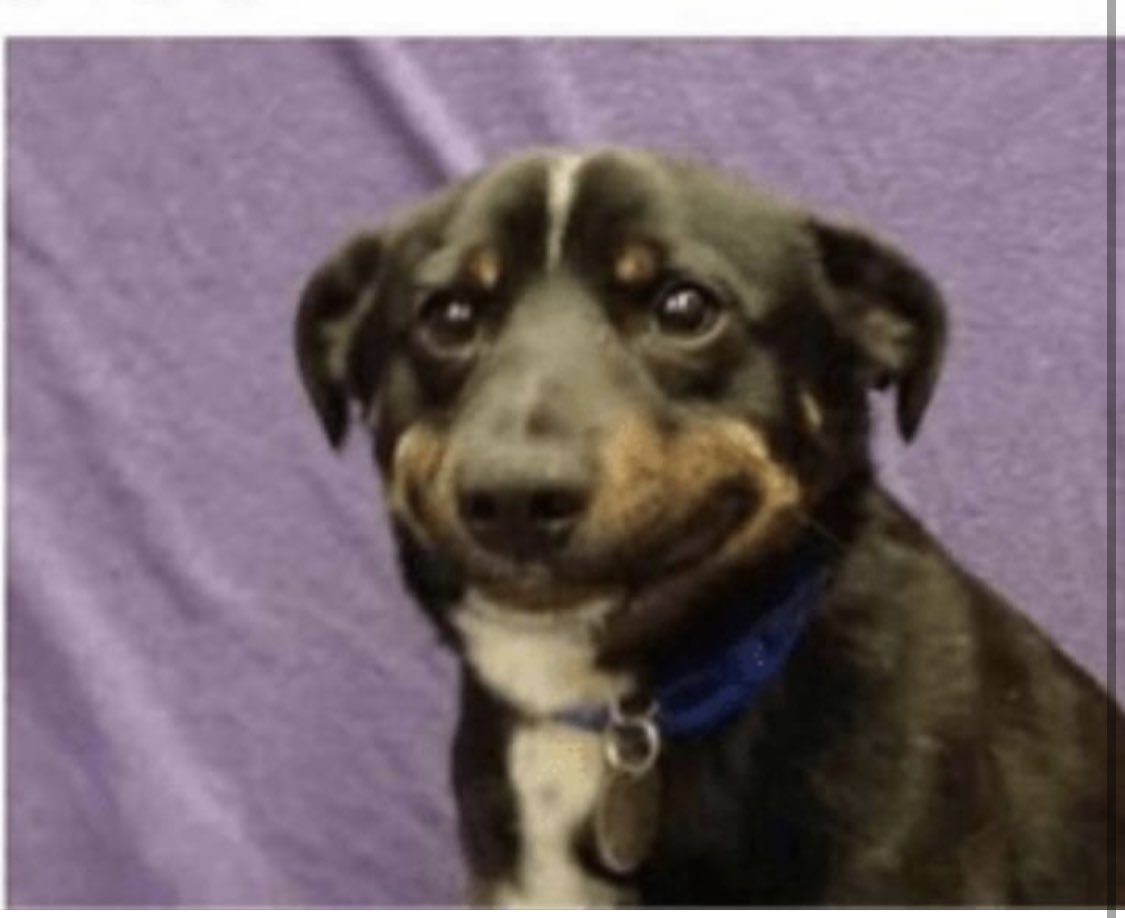 America rolling into July like