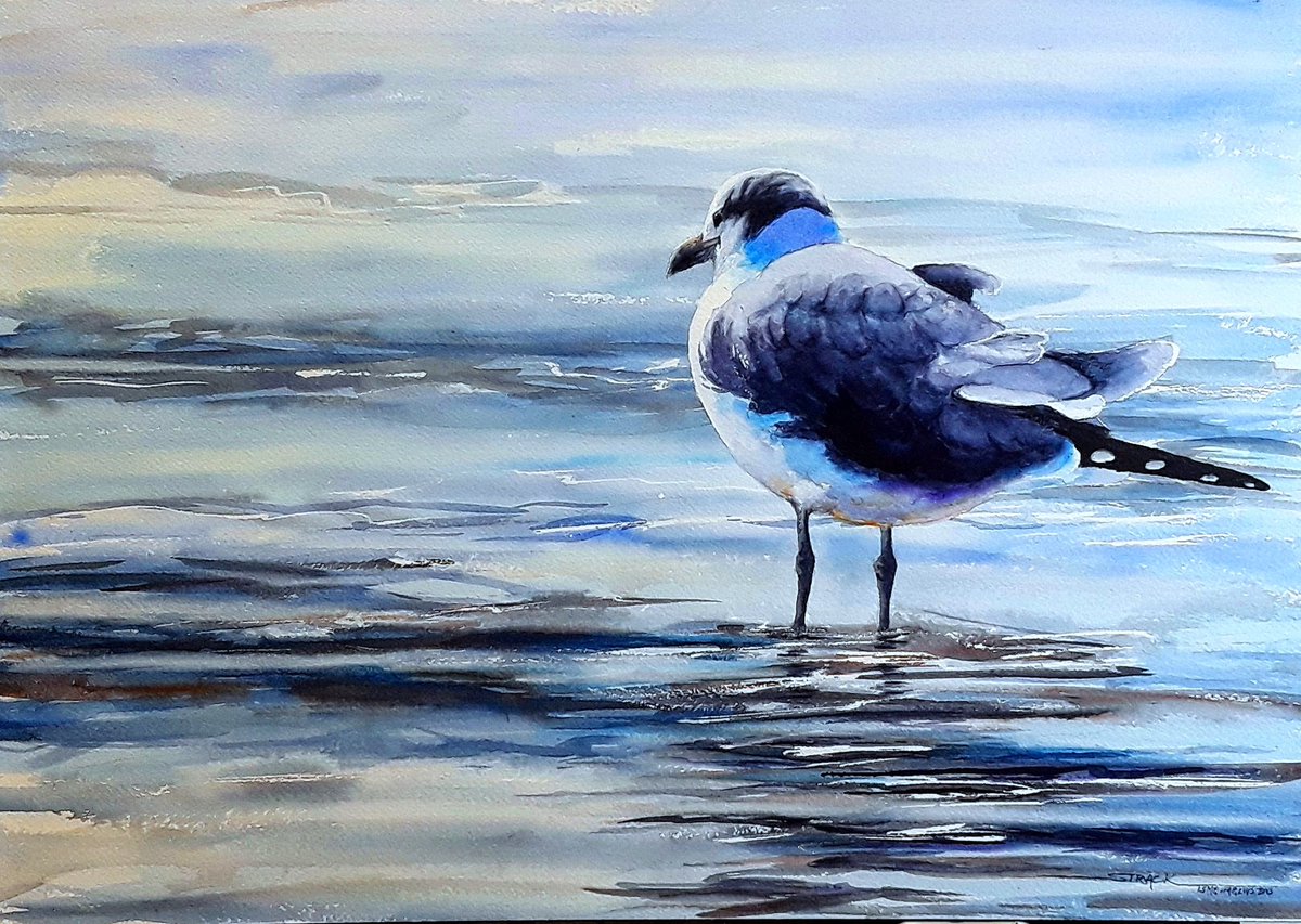 AnnieStrack's tweet photo. Whoo hoo! My painting "Toes in the Water" is juried into the Montana Watercolor Society's 39th Nat'l Exhibit! I'm so grateful to juror Iain Stewart for including me in such a great show!
#travelingartist #MasterArtist #MTWS #watercolormaster #professionalartist #americanartist https://t.co/iuvskDT8uy
