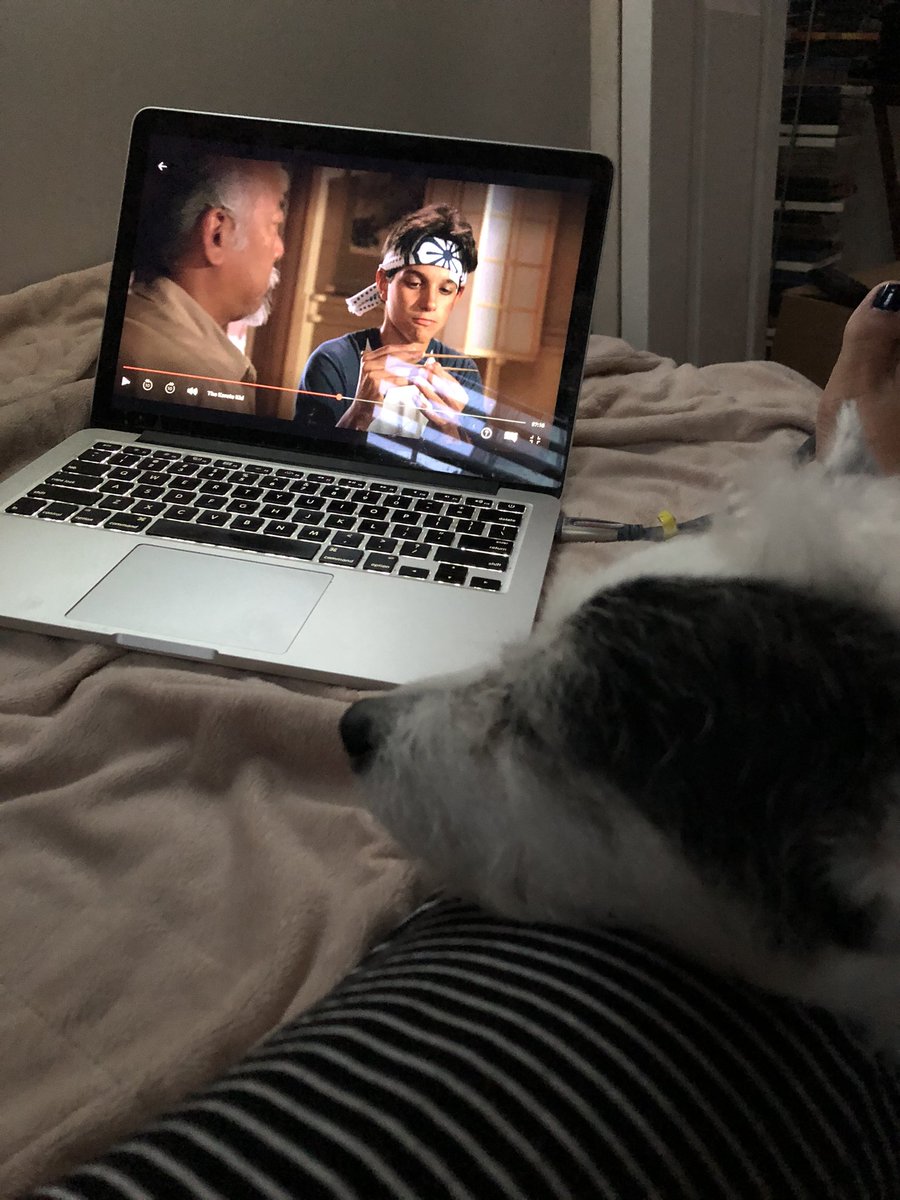 JPRequiro's tweet image. Miyagi-San is about to get pissed #catchfly #thekaratekid