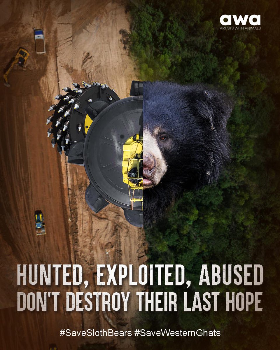 AWA_MUMBAI's tweet photo. #WesternGhats is under threat of losing 15% proposed ESA to mining & industries. It is home to the #SlothBear. We have drastically reduced their habitat & diminished their population by hunting, taming & using them as pets/performance animals. #SaveSlothBears #SaveWesternGhats. https://t.co/YQ04TiwEg6