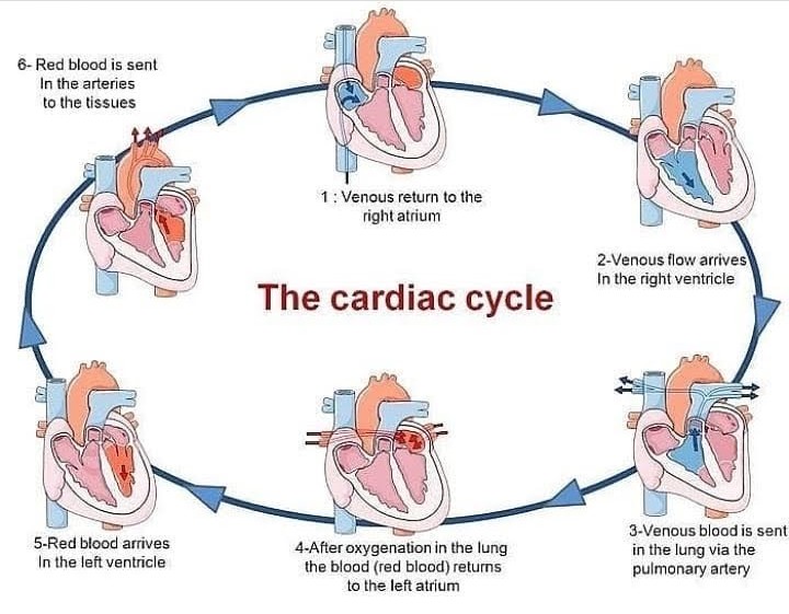 medical_teachi's tweet photo. #كليات_المعرفة
#med20
#ISNC
#ISNC_STUDENTS
#IMED23
#IMED24
#IMED25
#MED18
#MED19
#MED17
#NUR19
#NUR17
#NUR18
#MED437
#MED438
#MED439
#PREMED40
@STUDENTSOFFCMS
#uqunurse38
#Uqunurse39
#Uqunurse37
#UQUnurse36 https://t.co/b7YRtboLlO
