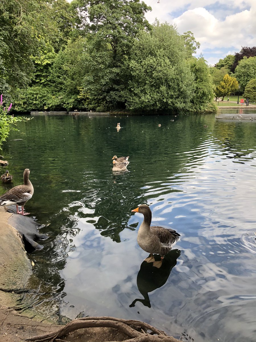 David77692706's tweet image. Take each day as it comes friends and make the best of it 👍