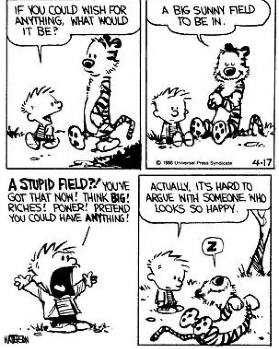 Calvin And Hobbes Happy Canadaday To All My Canadian Followers Relax Today Calvinandhobbes