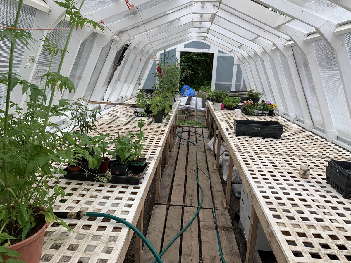 ChickadeeFarmHe's tweet photo. Yesterday we scrambled to plant out all our plants except the marjoram, before a day of rain today. Now it’s just flowered &amp; tomatoes left in the greenhouse. 

#greenhouse #planting #rainysummer #yeglocal #yeglocal https://t.co/kiKRP1jcjg