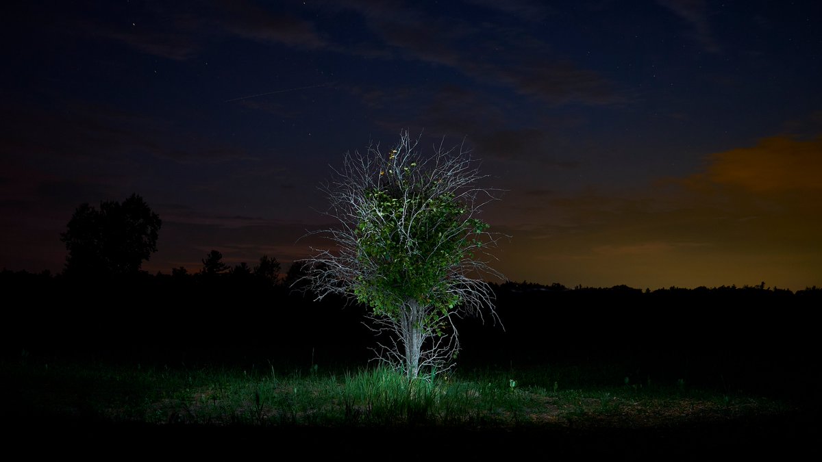 Christopher Bailey tweet media