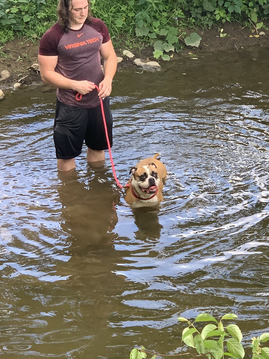 Package deal. #DawgsDline #stella <a href="/PaFootballNews/">Pennsylvania Football News</a> <a href="/SportsByBLinder/">Brian Linder</a> <a href="/damehova9/">Damon Simmons</a> <a href="/TLJohnErzar/">TL John Erzar</a> <a href="/CVSteveBennett/">Steve Bennett</a>