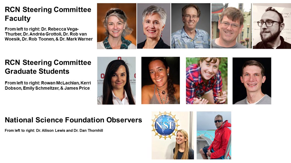 CoralBleachRCN's tweet photo. Coral Bleaching Research Coordination Network Workshop 2: Coral sample collection, preservation & archiving in progress! Meet the worldwide team! #CBRCN #coral #coralbleaching https://t.co/yTjJg5ZXrU
