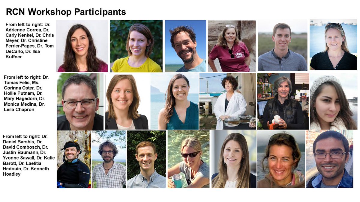 Coral Bleaching Research Coordination Network Workshop 2: Coral sample collection, preservation &amp; archiving in progress! Meet the worldwide team! #CBRCN #coral #coralbleaching