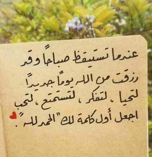 ZBanchour's tweet photo. https://t.co/zAItXhSInn