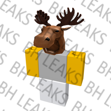 Brick Hill Custom Leaks : r/BrickHill