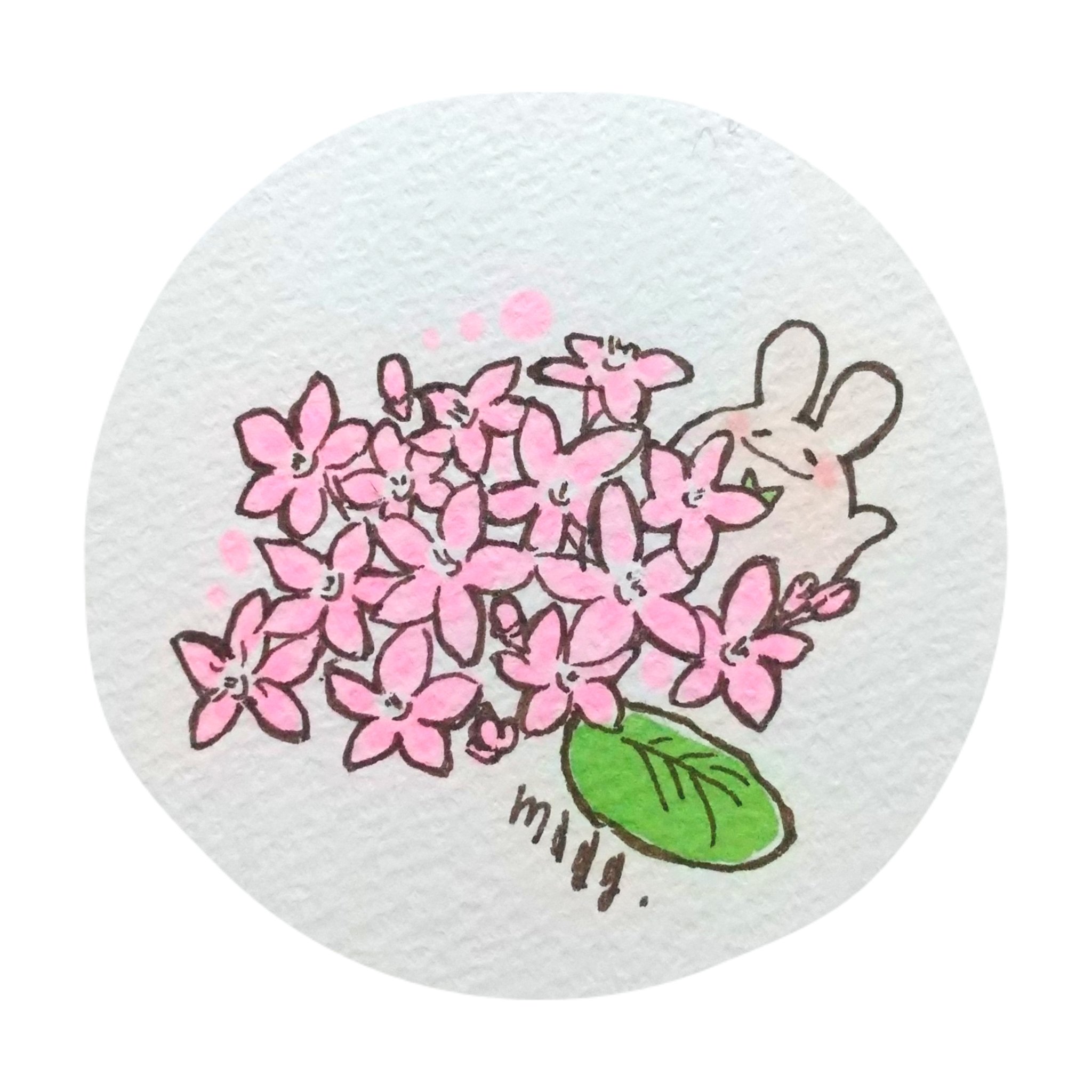Cagelam 12 16 星カケ展 願い事 みんなの願い事は何かな ペンタス 本日のぷにょん イラスト うさぎ 創作 一日一絵 1日1絵 花言葉 T Co B2jgurdz6l Twitter