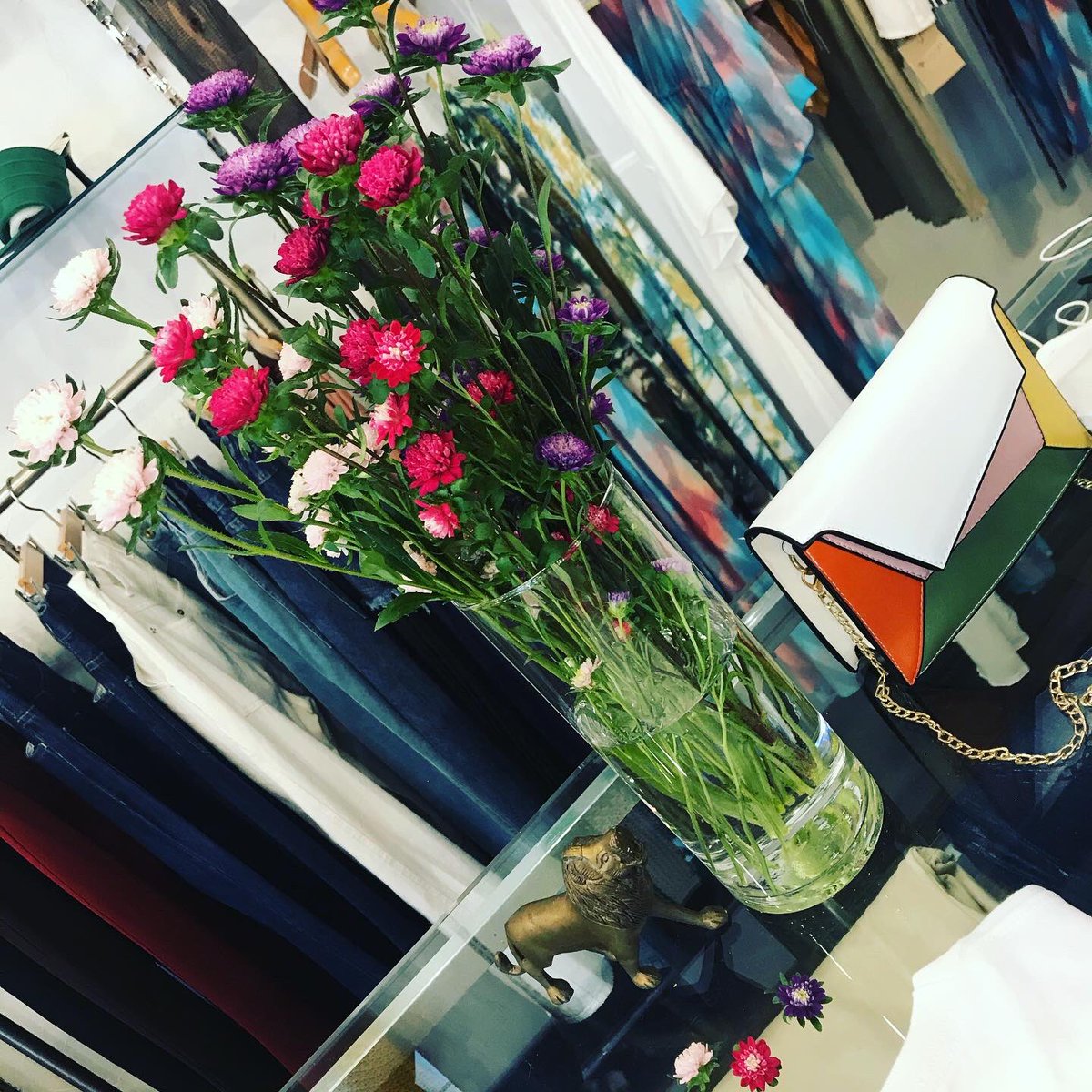 RAYdy_official's tweet image. 2020は7月。晴れ🌞
アスター💐
エゾギク💐

➳ WEB Store
raydy.net

#aster #variety #callistephus #2020ss #raydy #selectshop #fussa #tokyo #japan