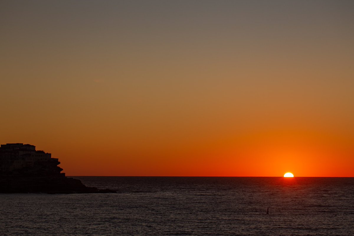 Dan Wilkinson AKA @hotndelicious 🎞🌊✨ tweet media